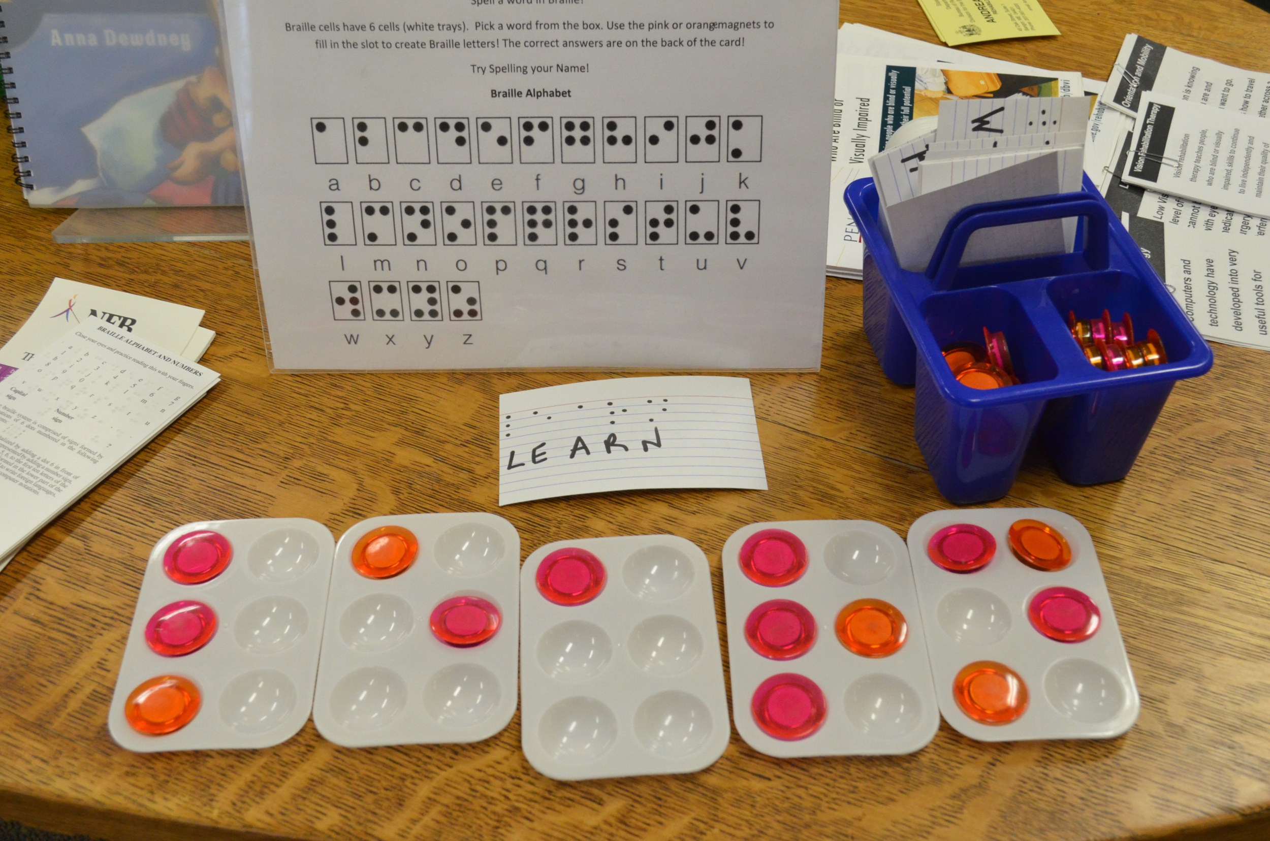 Low Vision Display Thompson Free Library